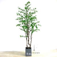 uploads/erp/collection/images/Home Garden/dgjiawang/XU0613098/img_b/XU0613098_img_b_5